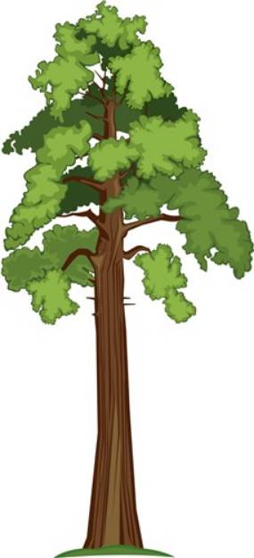 Picture of Tall Tree SVG File