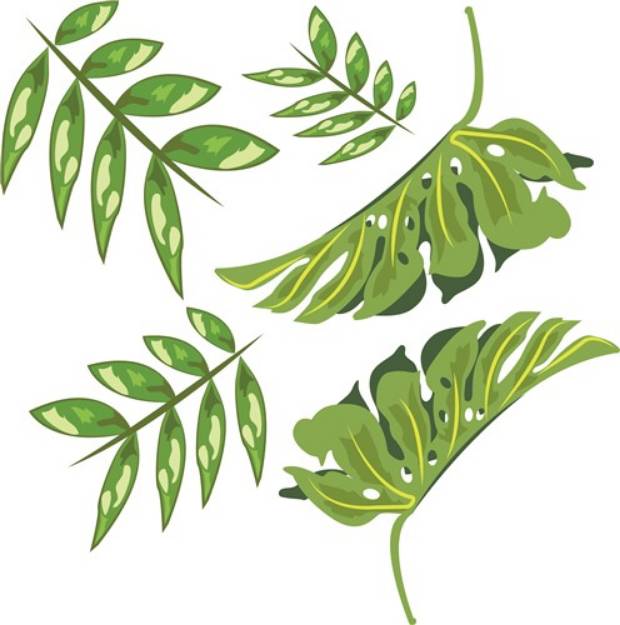 Picture of Tropical Leaves SVG File