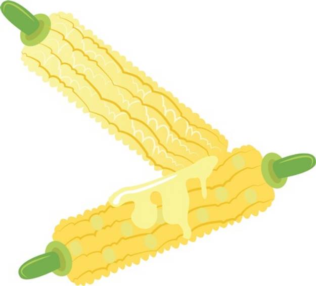 Picture of Corn On Cob SVG File