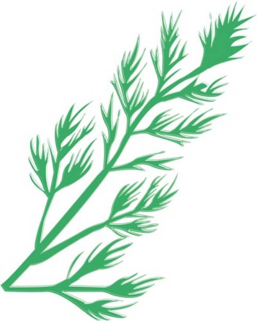 Picture of Dill Weed SVG File