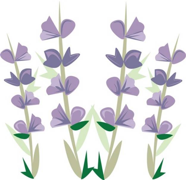 Picture of Lavender Blooms SVG File