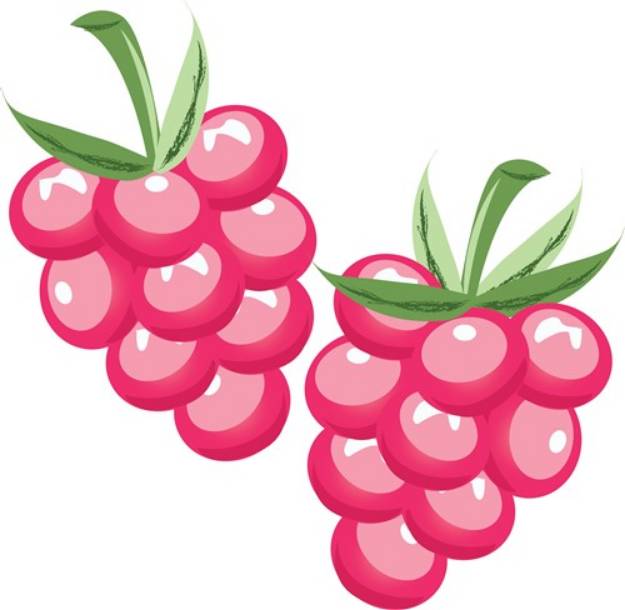 Picture of Red Berries SVG File