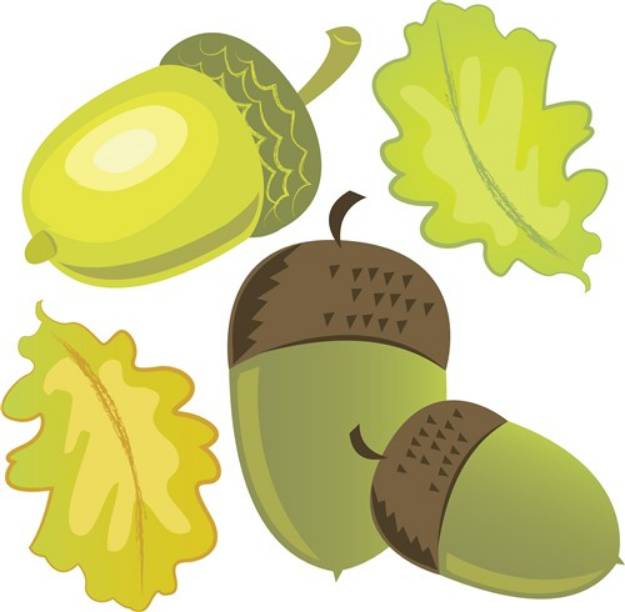Picture of Acorn Leaves SVG File