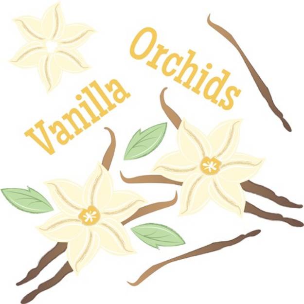 Picture of Vanilla Orchids SVG File