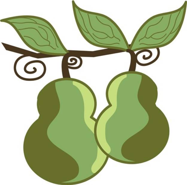 Picture of Sweet Pears SVG File