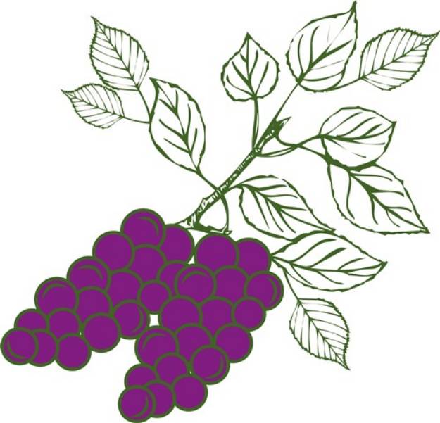 Picture of Grape Clusters SVG File
