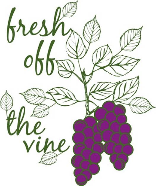 Picture of Fresh Grapes SVG File