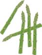 Picture of Asparagus SVG File