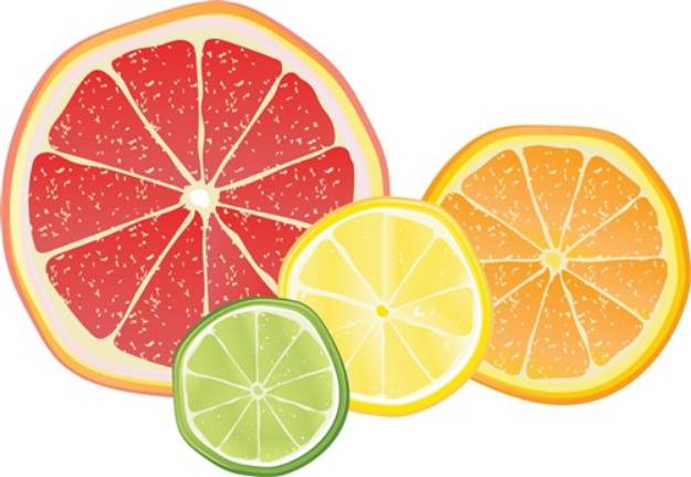 Picture of Citrus Fruit SVG File