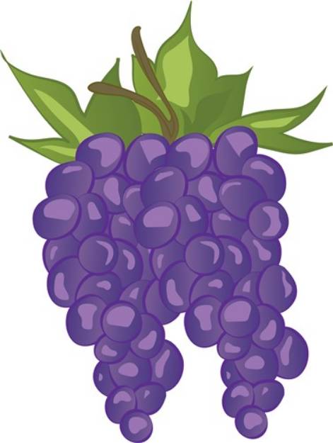 Picture of Grapes Bunch SVG File