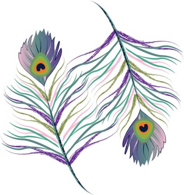 Picture of Peacock Feather SVG File