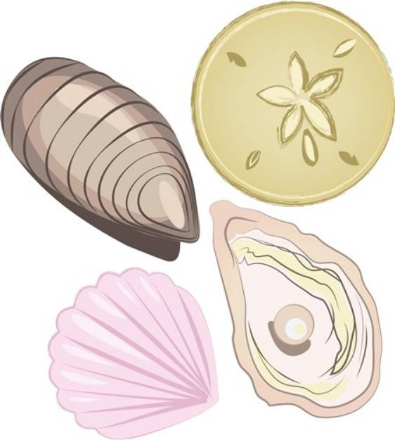 Picture of Sea Shells SVG File
