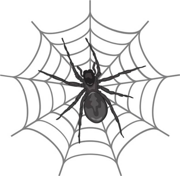 Picture of Spider Web SVG File