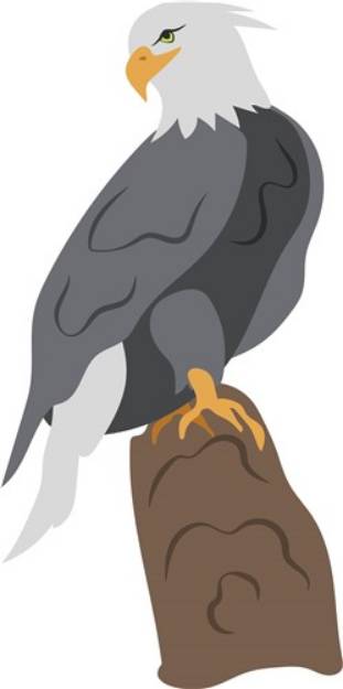 Picture of Bald Eagle SVG File