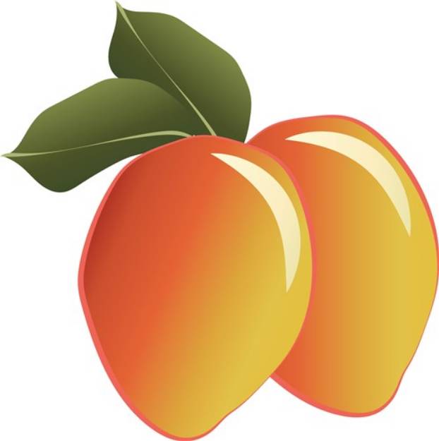 Picture of Mango Fruit SVG File