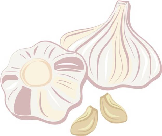 Picture of Garlic Bulbs SVG File
