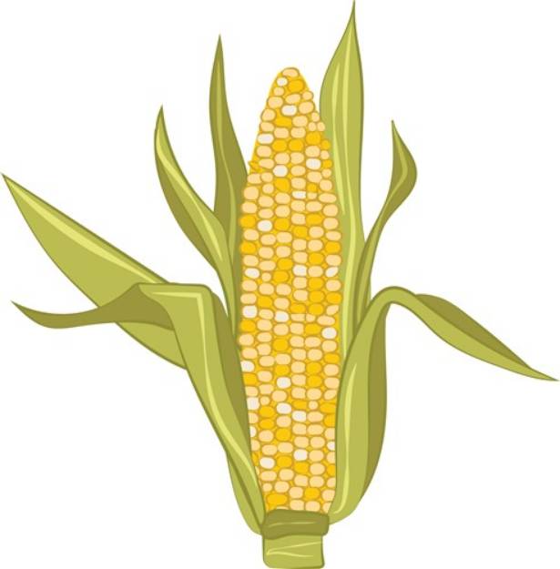 Picture of Corn Ear SVG File