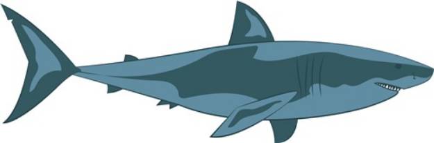 Picture of Shark SVG File