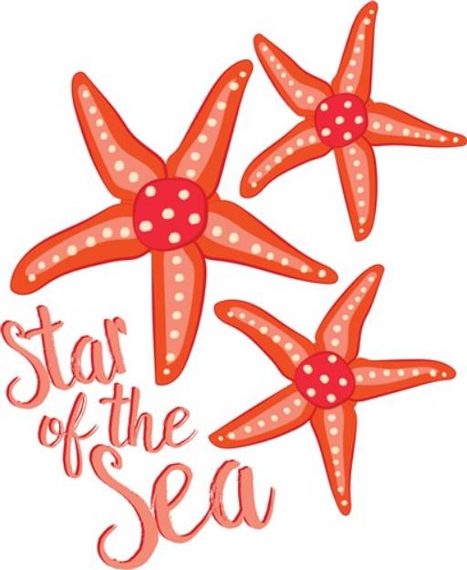 Picture of Star Of Sea SVG File