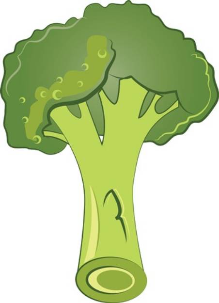 Picture of Broccoli SVG File