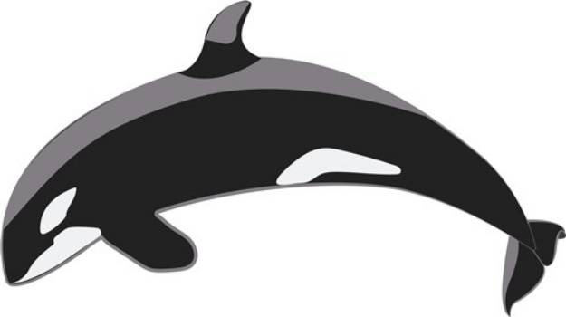 Picture of Orca Whale SVG File