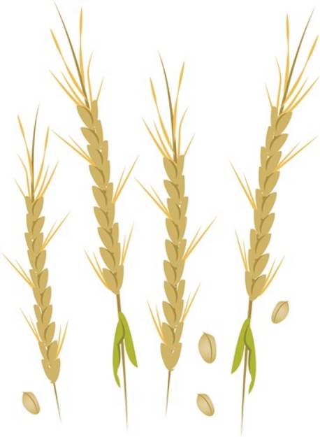 Picture of Wheat SVG File