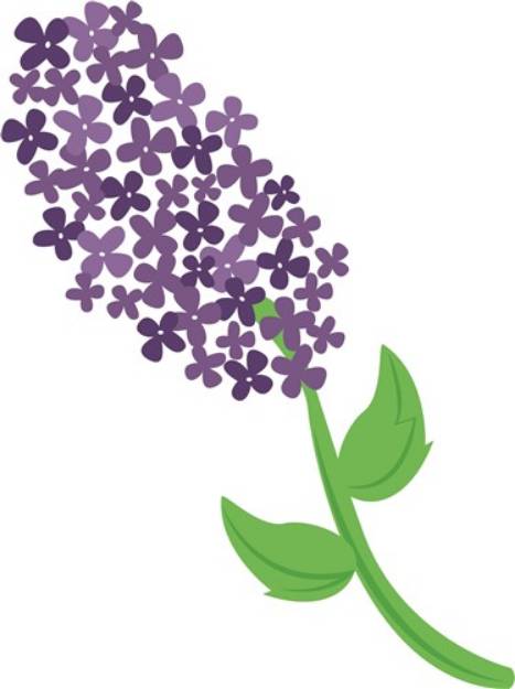 Picture of Lilac Flower SVG File
