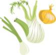Picture of Onions SVG File