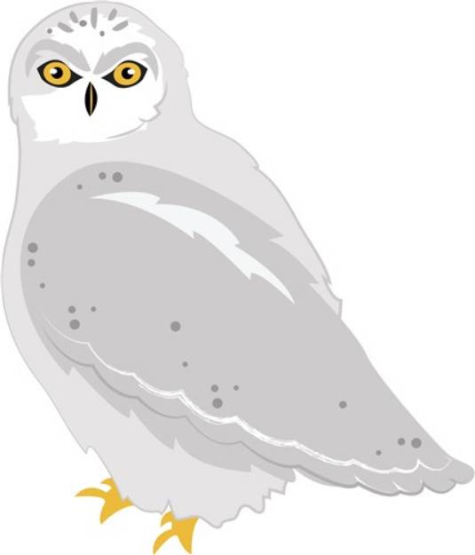 Picture of Snow Owl SVG File