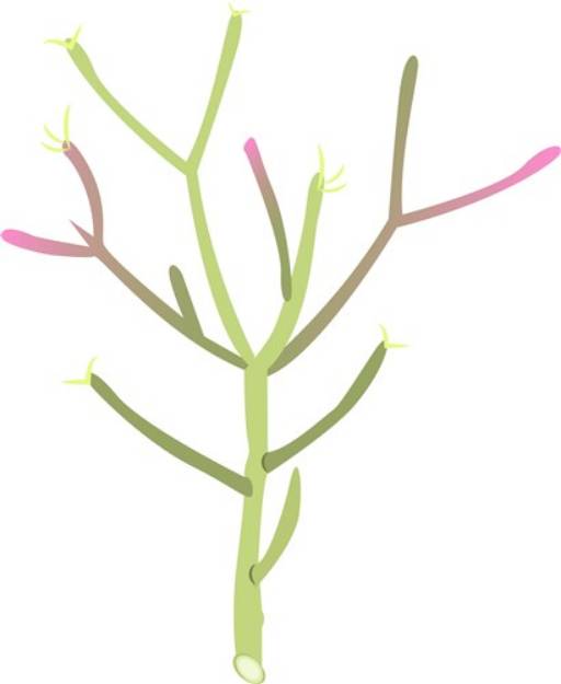 Picture of Desert Plant SVG File