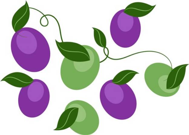 Picture of Grape Vine SVG File