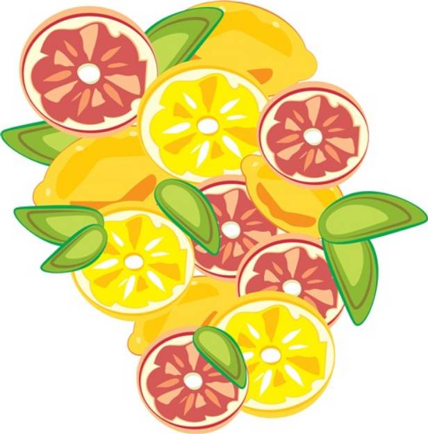 Picture of Citrus SVG File
