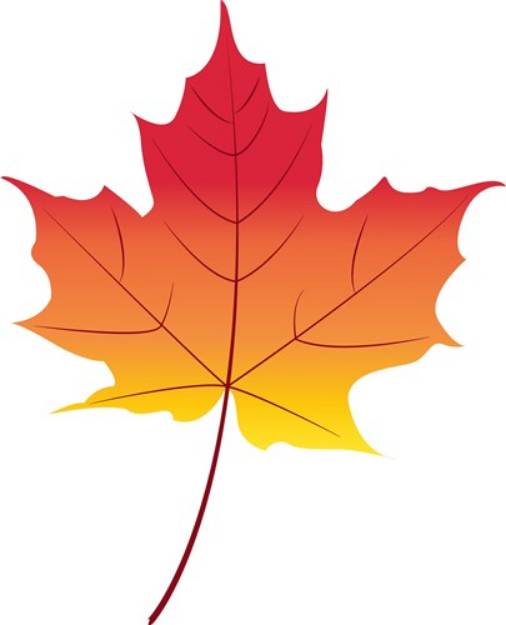 Picture of Autumn Maple Leaf SVG File