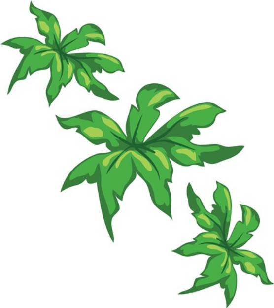 Picture of Palm Tree Tops SVG File