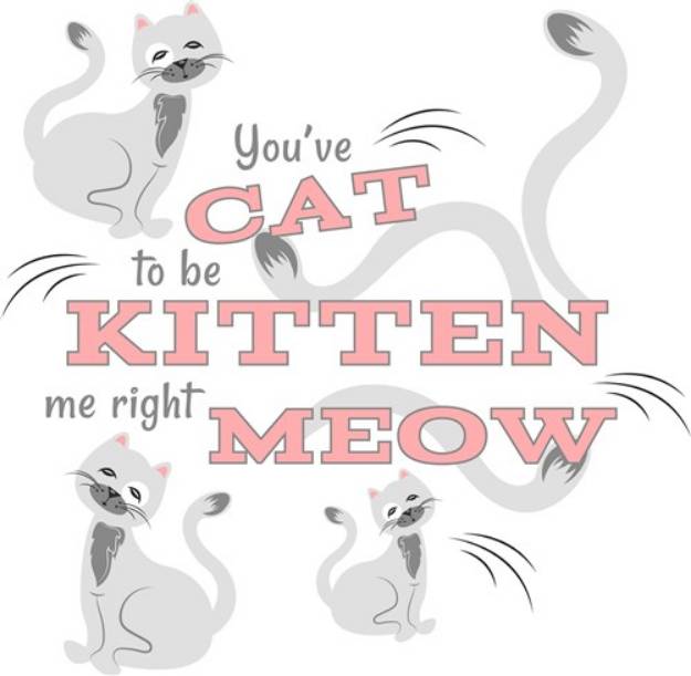 Picture of Cat You ve Cat To Be Kitten Me Right Meow SVG File