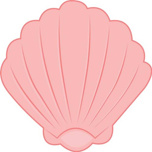 Picture of Sea Shell SVG File