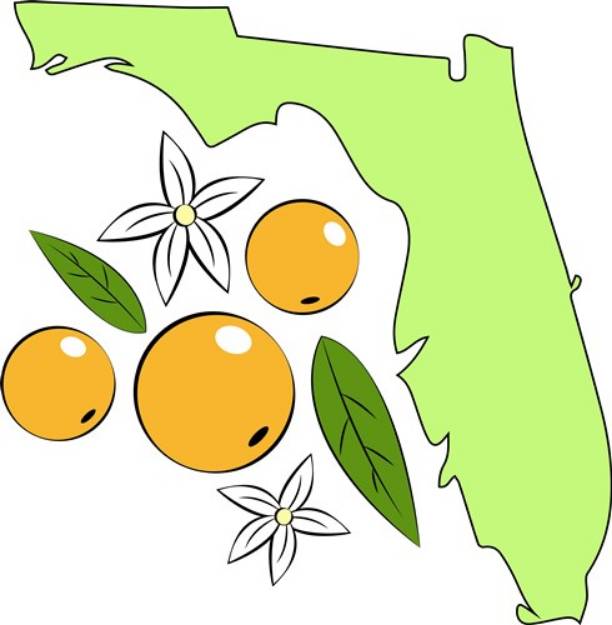 Picture of Florida Oranges SVG File