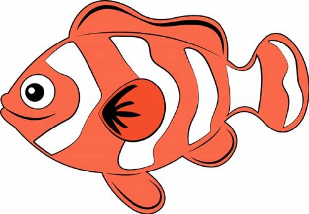 Picture of Clown Fish SVG File