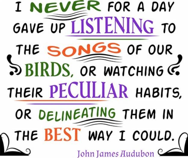 Picture of Bird Songs SVG File
