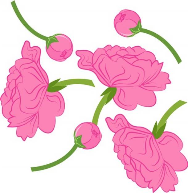 Picture of Peony Flowers SVG File