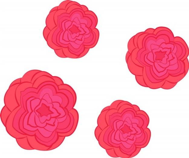 Picture of Camellia Flowers SVG File