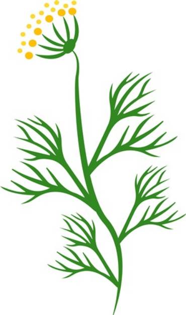 Picture of Dill Weed SVG File