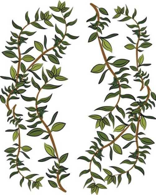 Picture of Thyme Vines SVG File