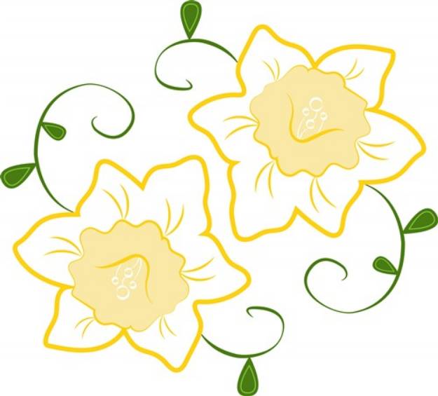 Picture of Daffodil Blooms SVG File