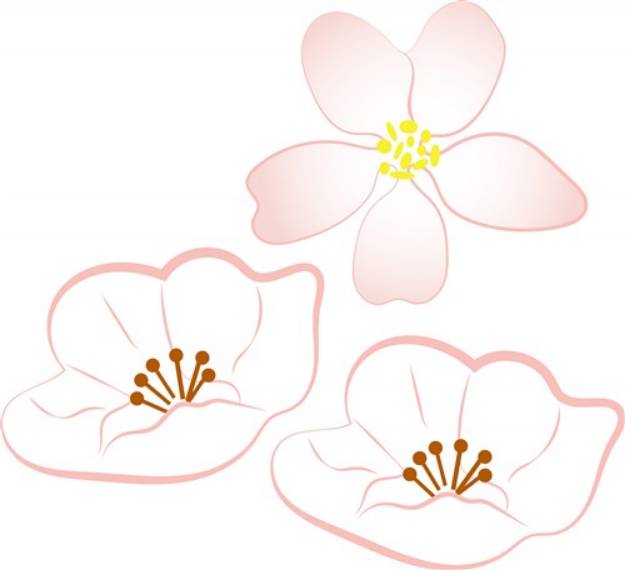 Picture of Apple Blossoms SVG File