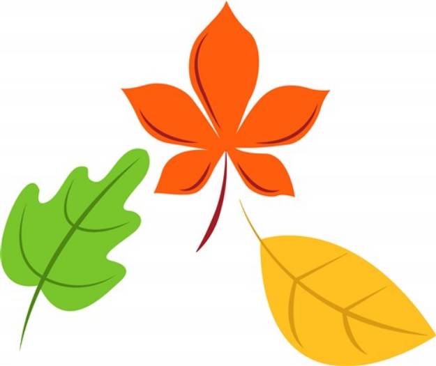 Picture of Autumn Leaves SVG File