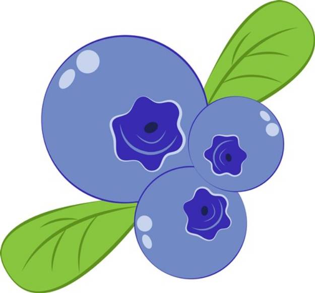 Picture of Blueberry Bunch SVG File