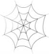 Picture of Spider Web SVG File