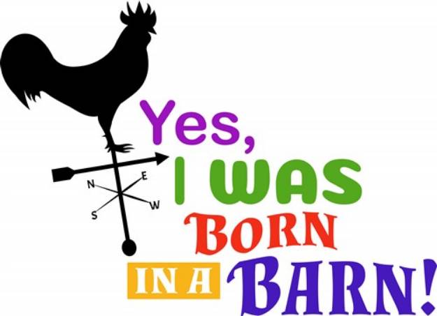 Picture of Born In Barn