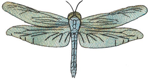 Shimmer Dragonfly Machine Embroidery Design